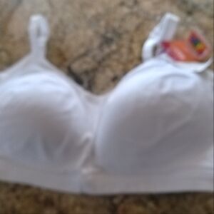 Easy collection large size bra